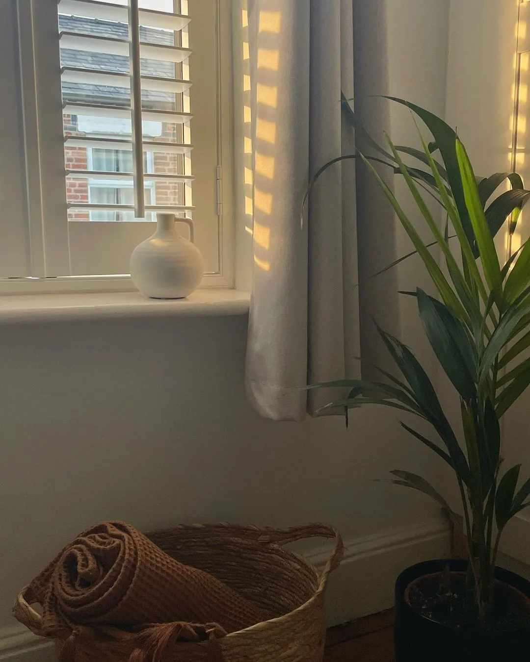 Window shutters and curtains with plant, basket and blanket