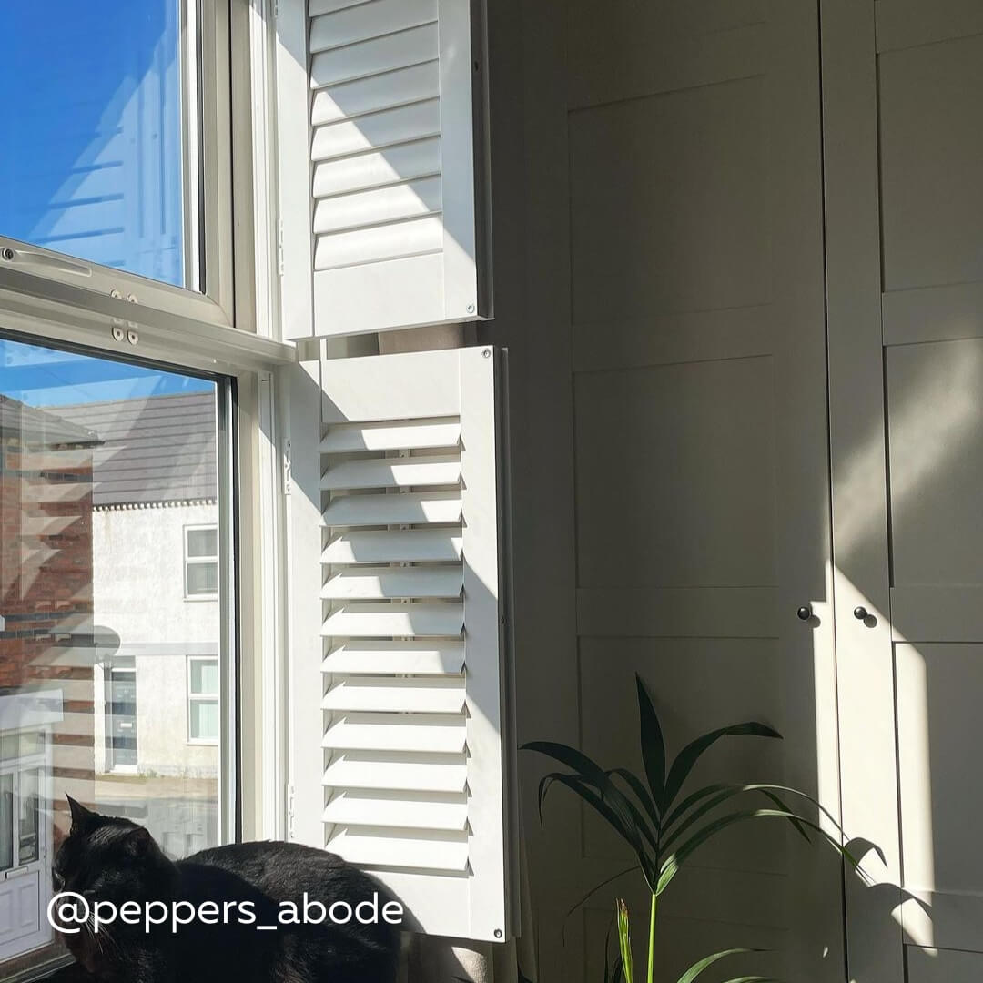 Cat sunning itself on window framed by White Tier on Tier Shutters in a classic home