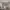 Traffic Grey Hardwood Full Height Bay Window Shutter in Modern Bedroom